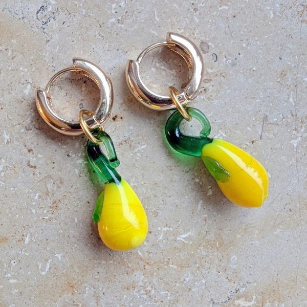 SOFIA Hoops SOFIA Hoops